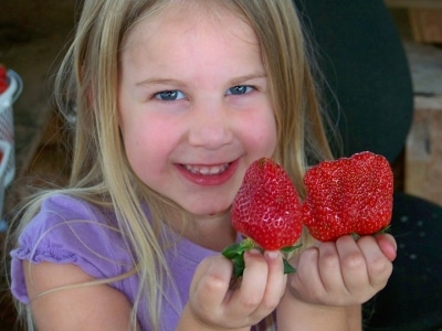 image of child at Payne Farm and produce