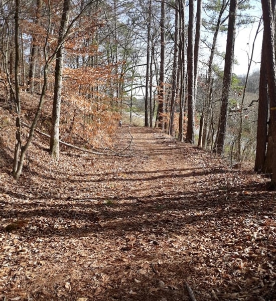 Resaca Battlefield Historic Site Trail