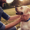 Dog Friendly Spots in Gordon County