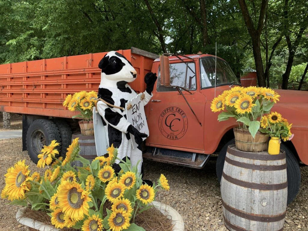 Copper Creek Farm Sunflower Festival