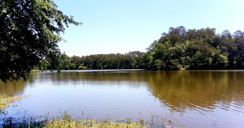 Salacoa Creek Park